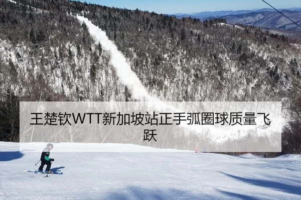 王楚钦WTT新加坡站正手弧圈球质量飞跃