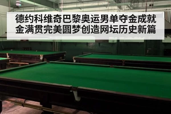 德约科维奇巴黎奥运男单夺金成就金满贯完美圆梦创造网坛历史新篇